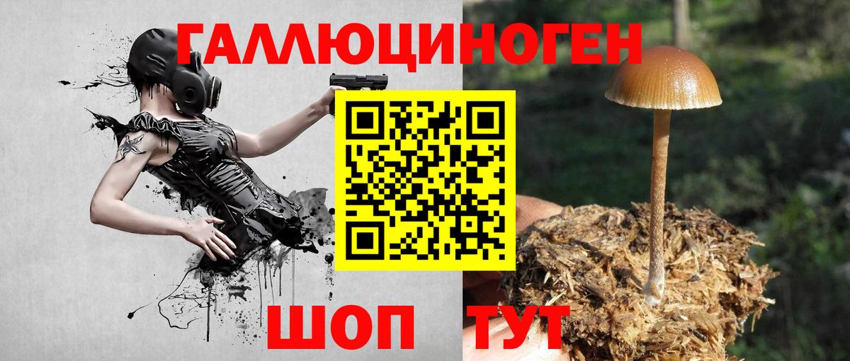 Белорецк  Галлюциногенные грибы мицелий  Вход с VPN 